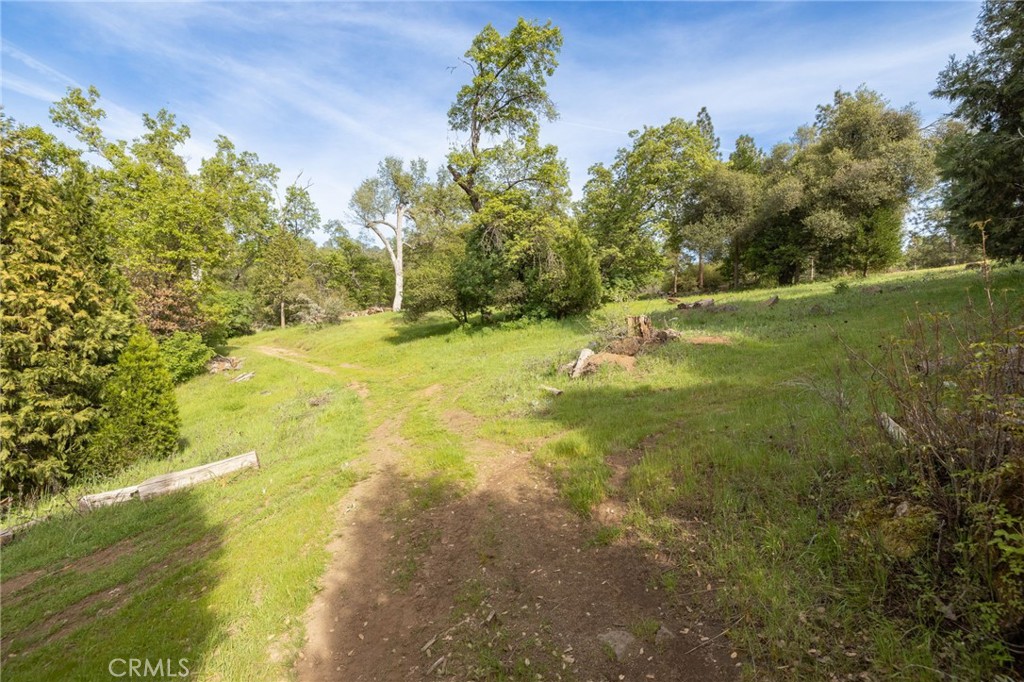 36919 Deer Path Circle