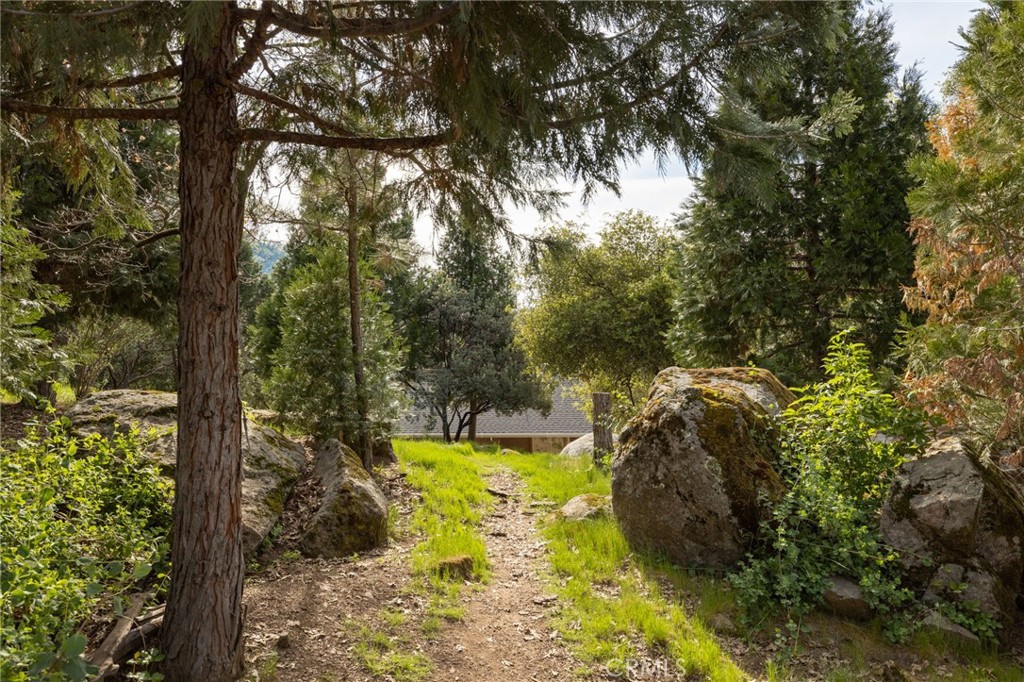 36919 Deer Path Circle