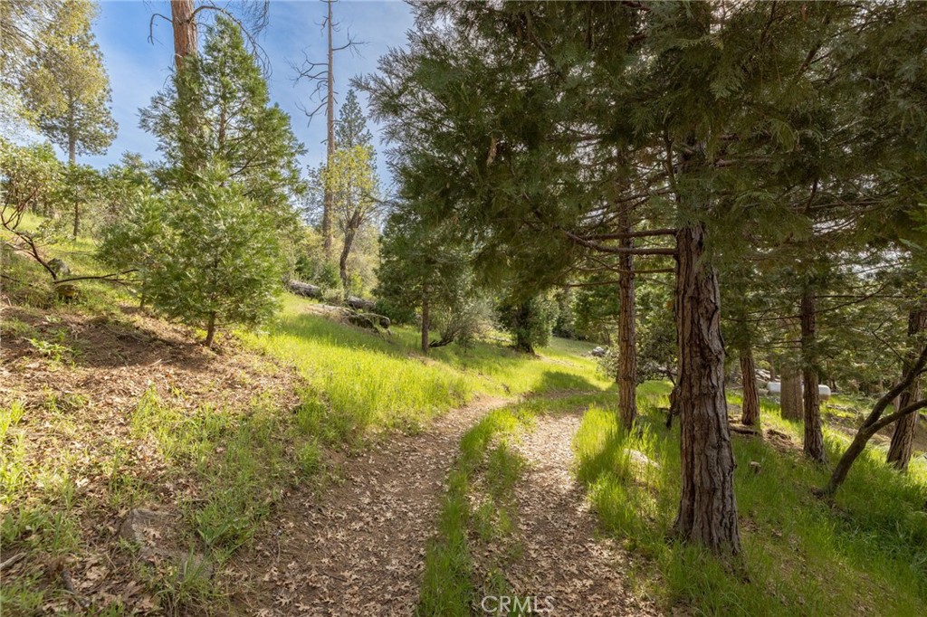 36919 Deer Path Circle