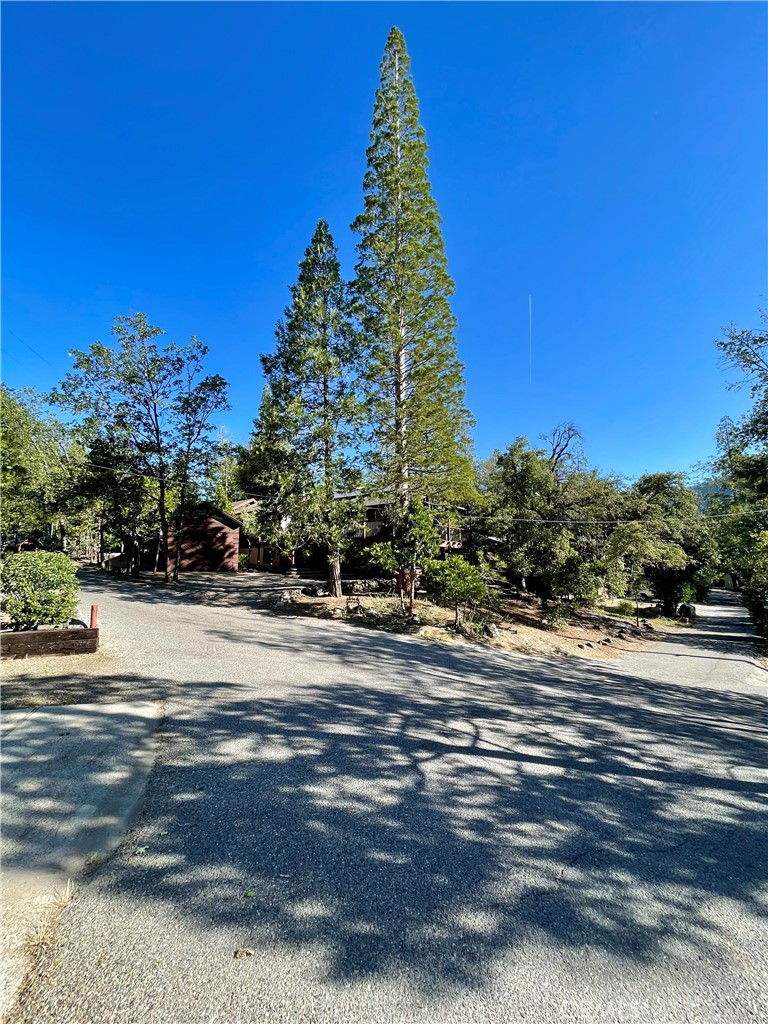 54825 Willow
