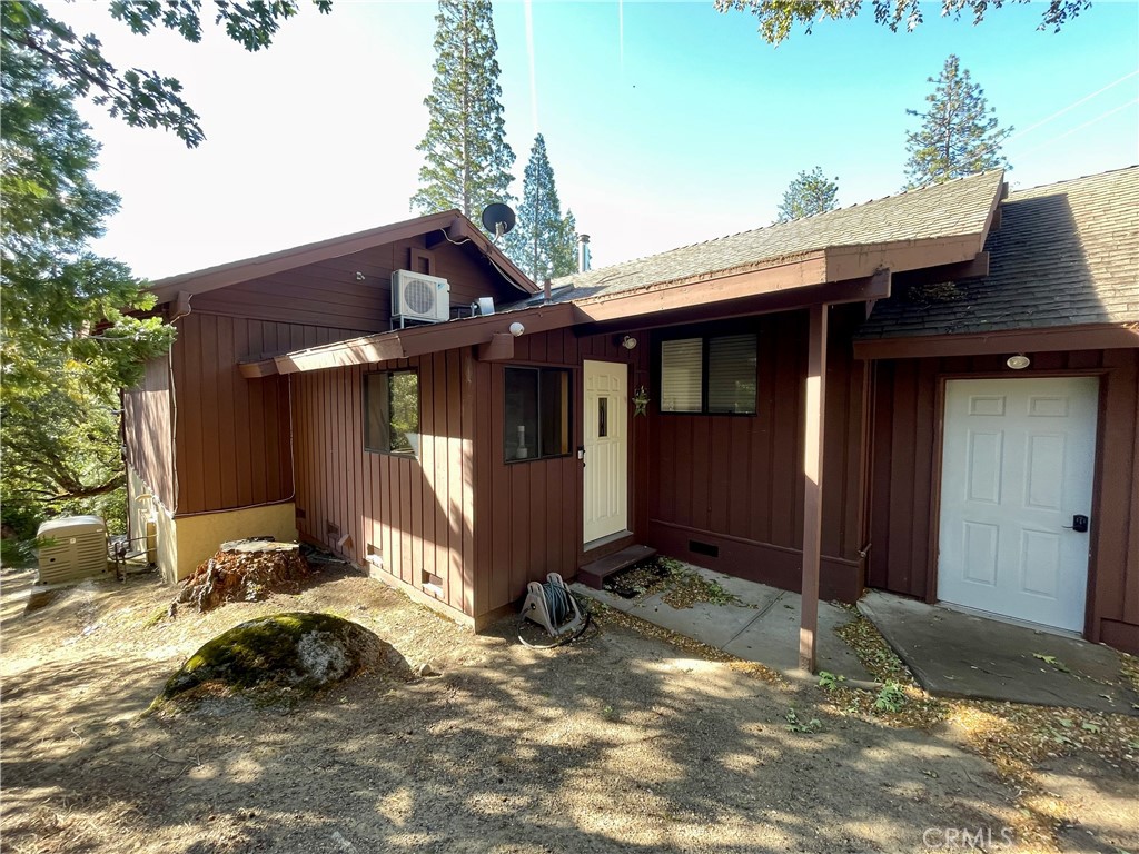 54825 Willow