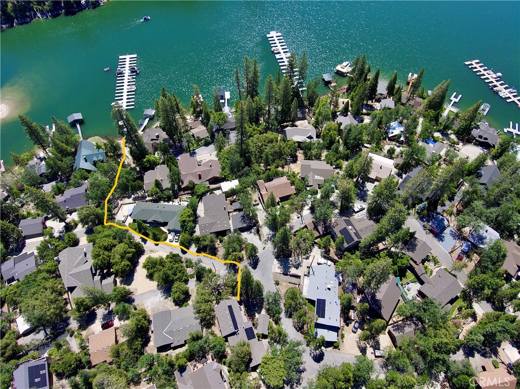 54825 Willow