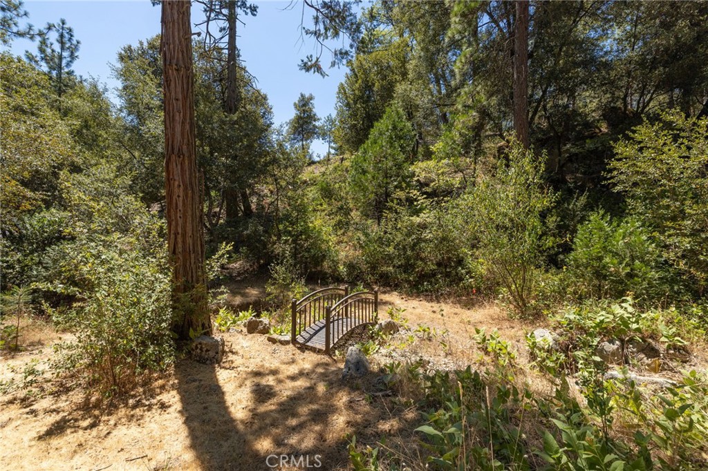 39964 N Cedar Vista