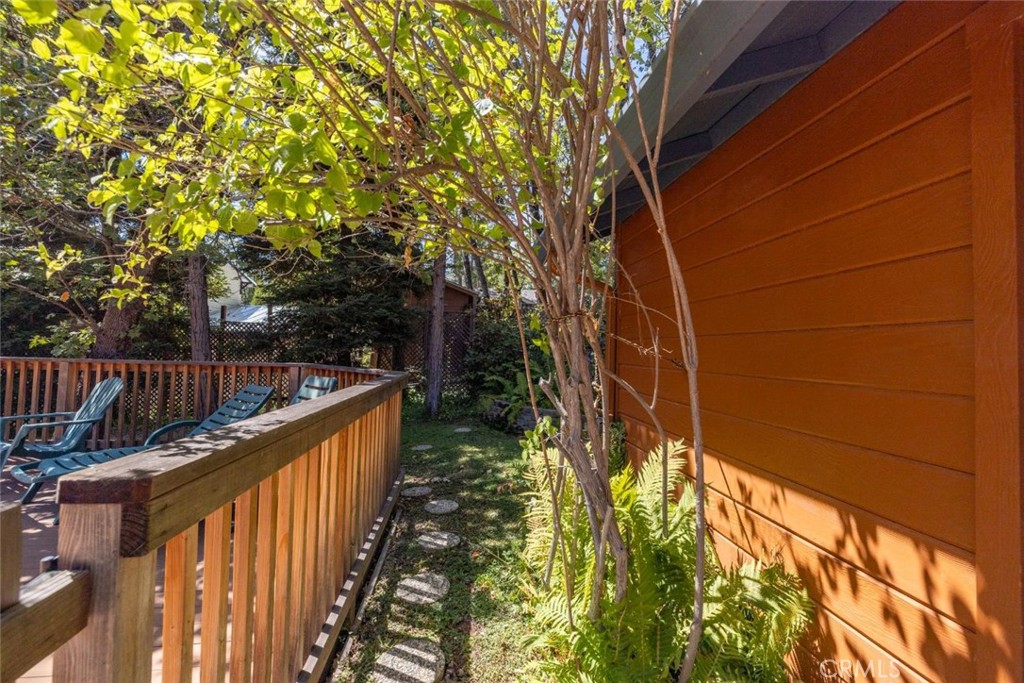39268 Robin