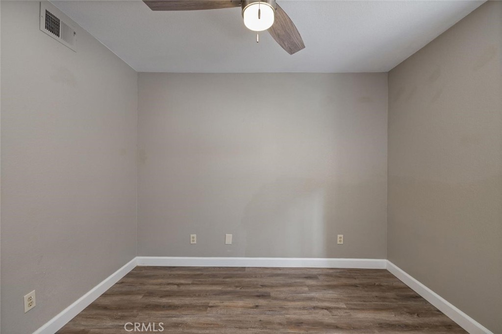 50850 Smoke Tree