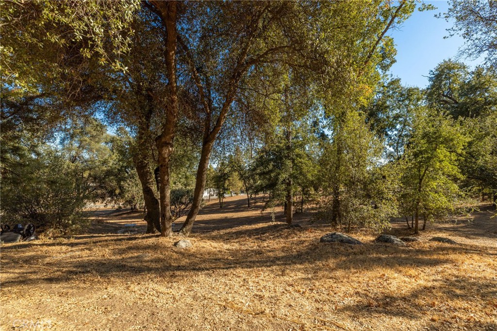 58208 Road 601