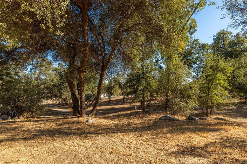 58208 Road 601