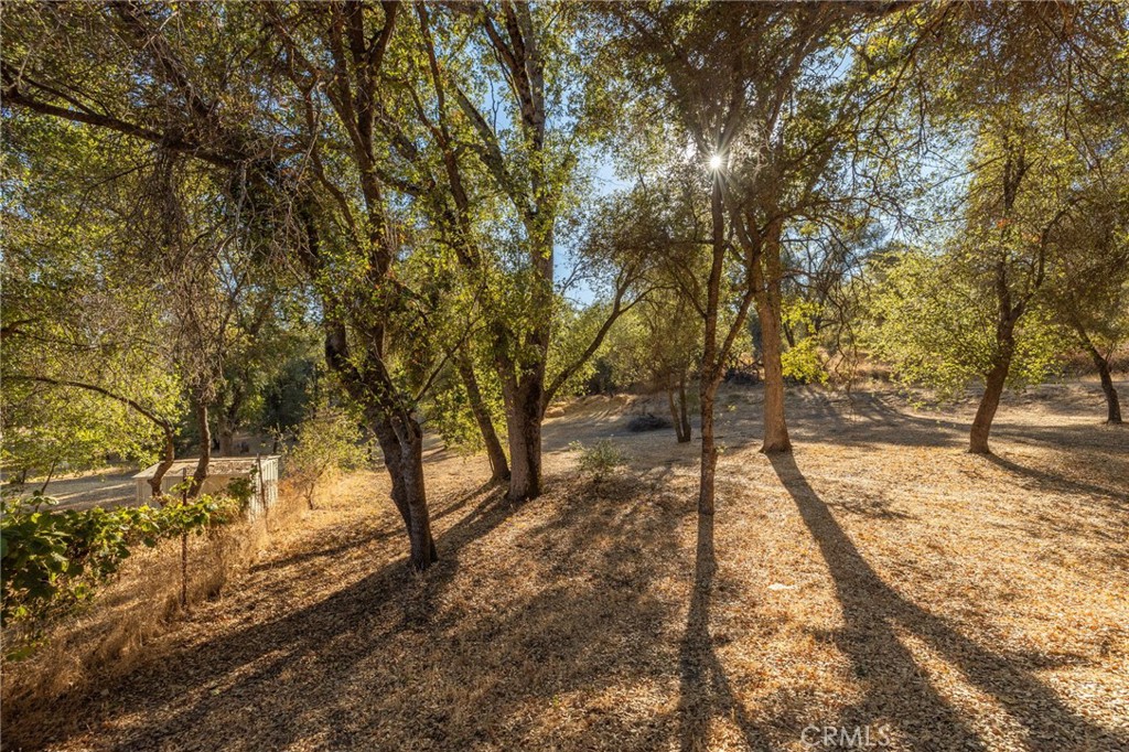 58208 Road 601