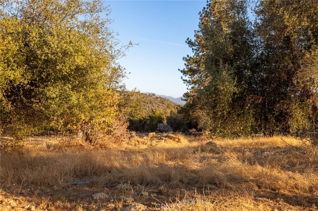 58635 Road 601