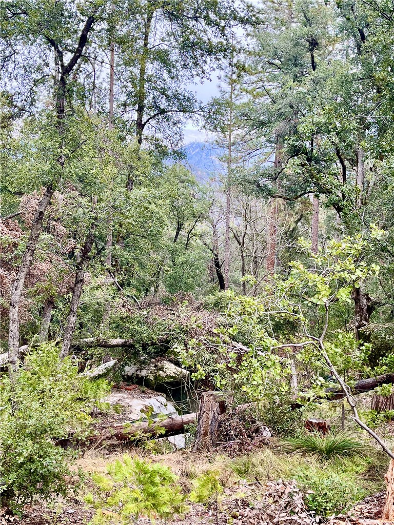 35197 Road 222