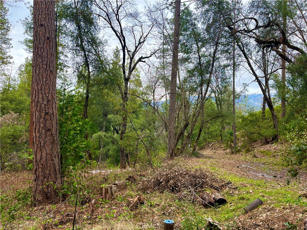 35197 Road 222