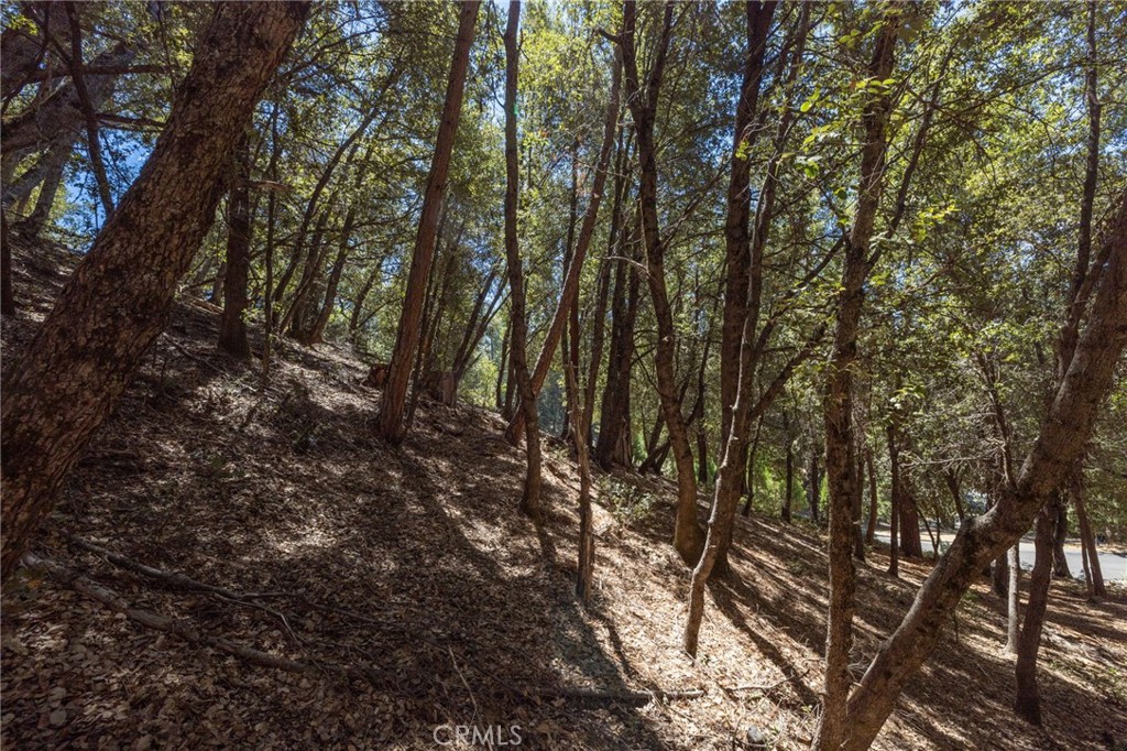 8 N Cedar Vista Circle N