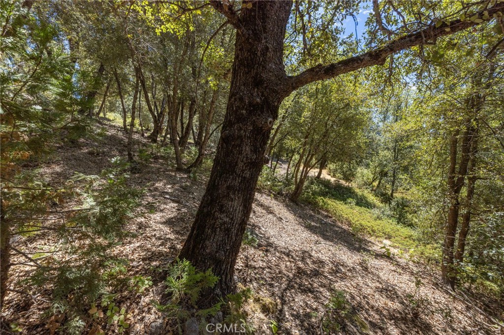 8 N Cedar Vista Circle N