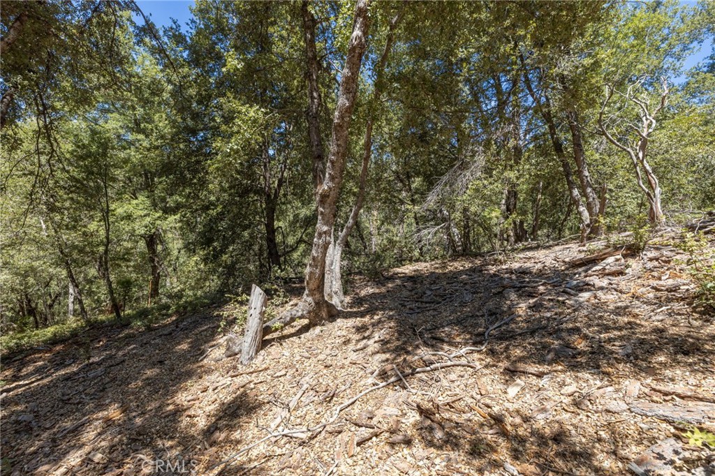 8 N Cedar Vista Circle N