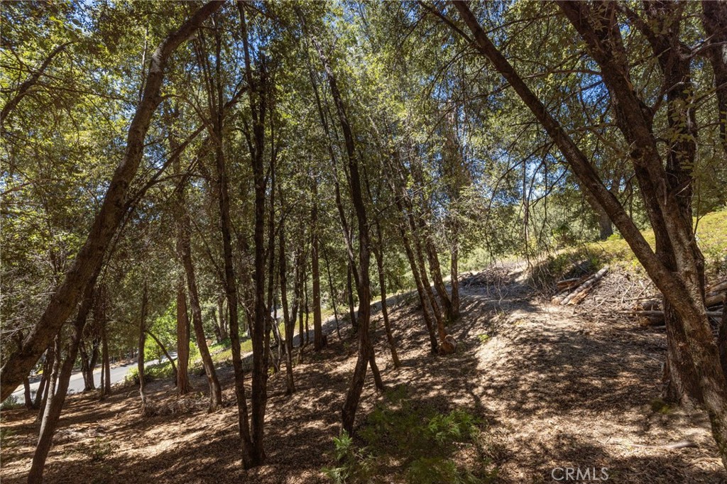 8 N Cedar Vista Circle N