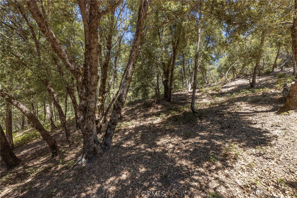 8 N Cedar Vista Circle N