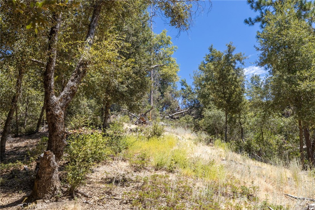 8 N Cedar Vista Circle N