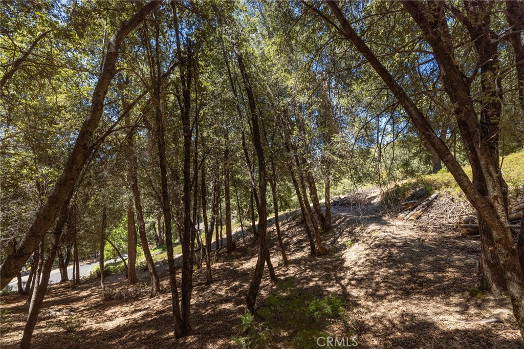 8 N Cedar Vista Circle N