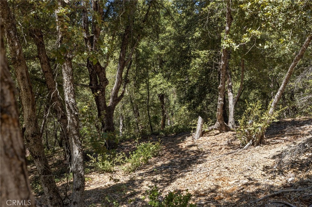 8 N Cedar Vista Circle N