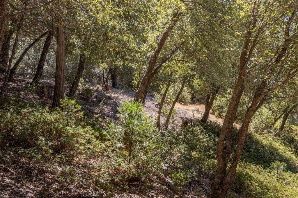 8 N Cedar Vista Circle N