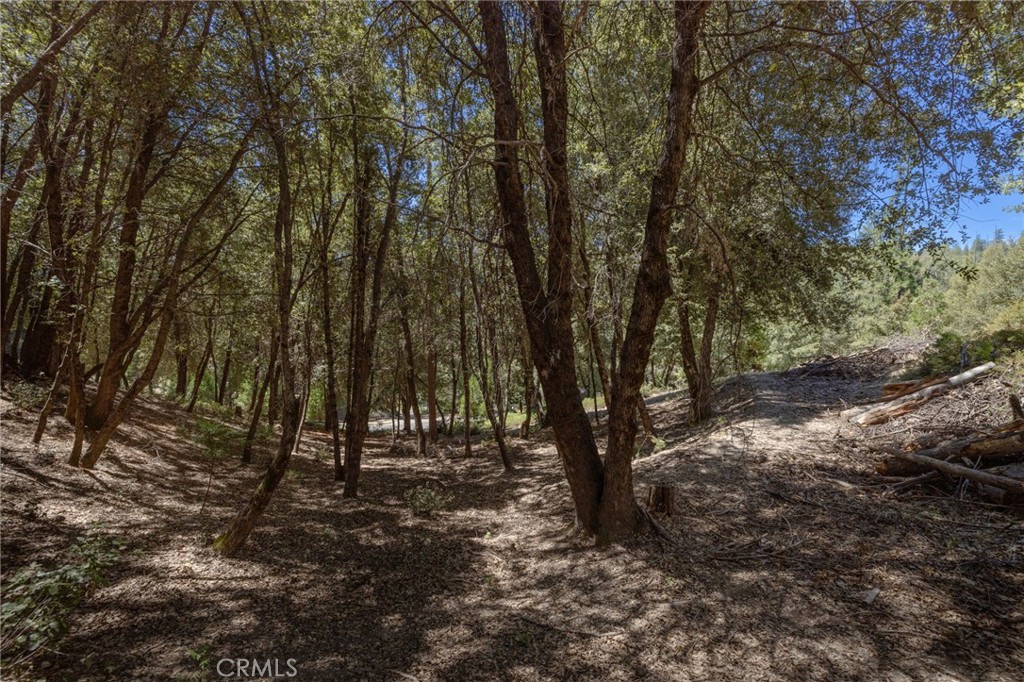 8 N Cedar Vista Circle N