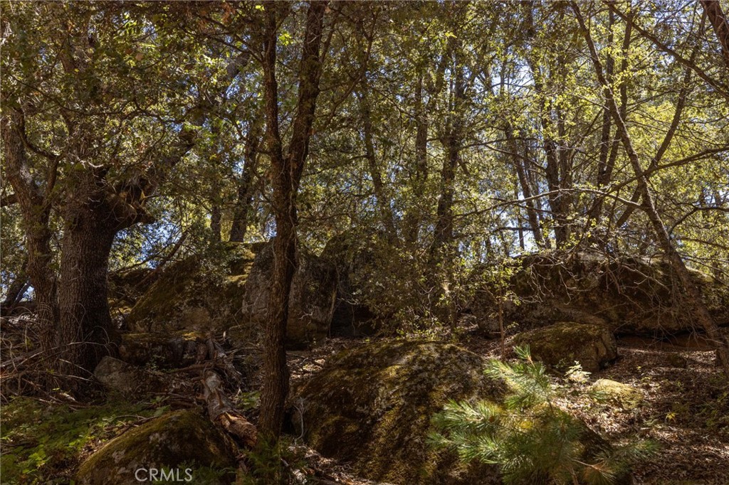 8 N Cedar Vista Circle N