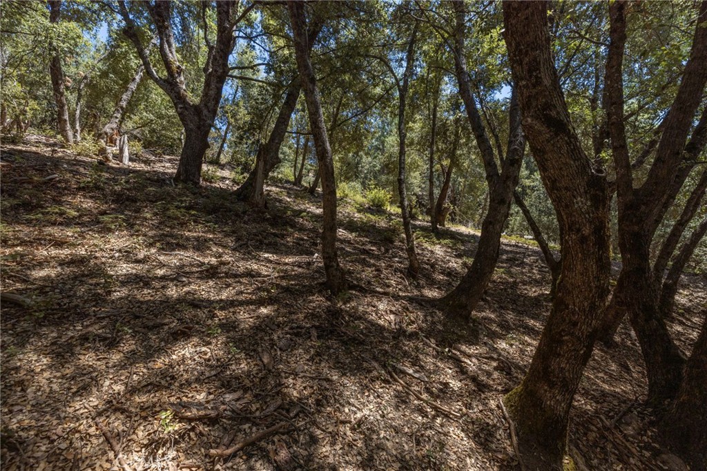 8 N Cedar Vista Circle N