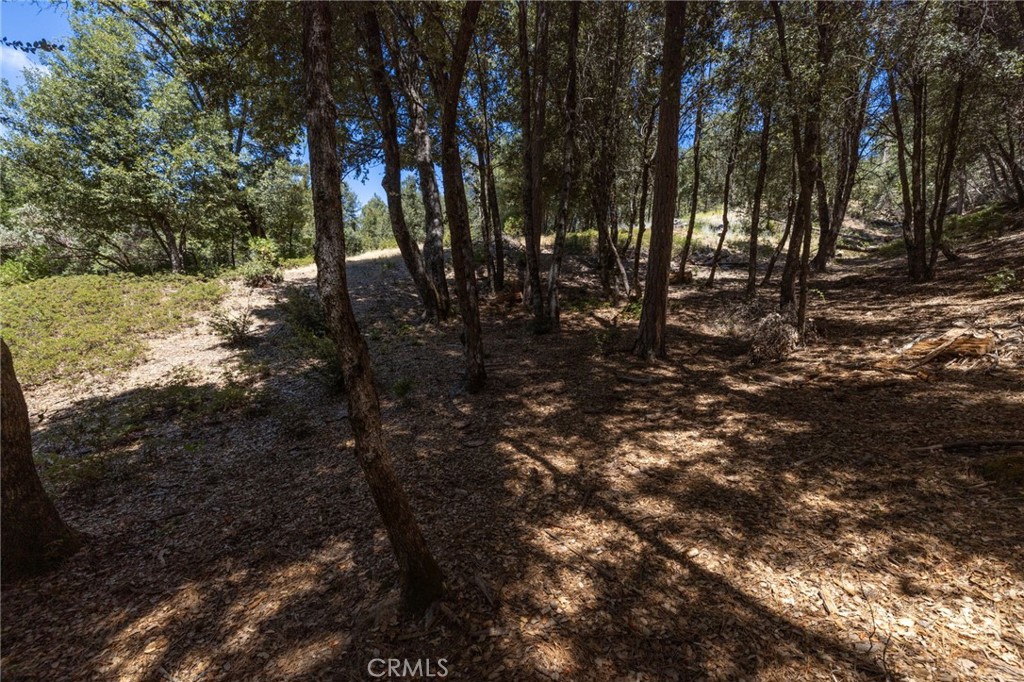 8 N Cedar Vista Circle N