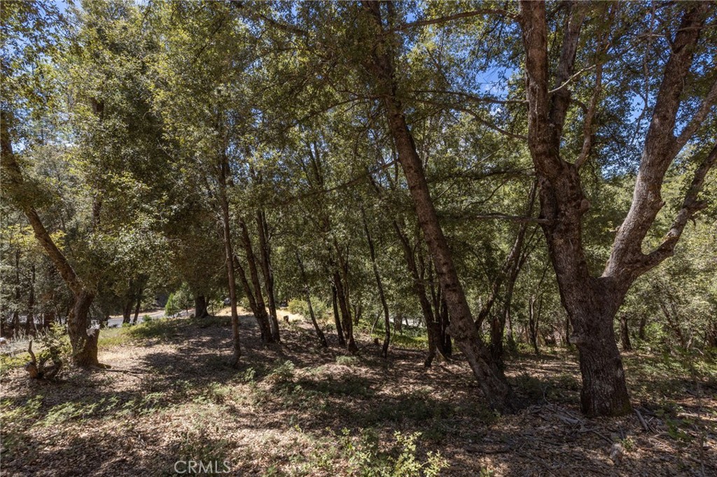 8 N Cedar Vista Circle N