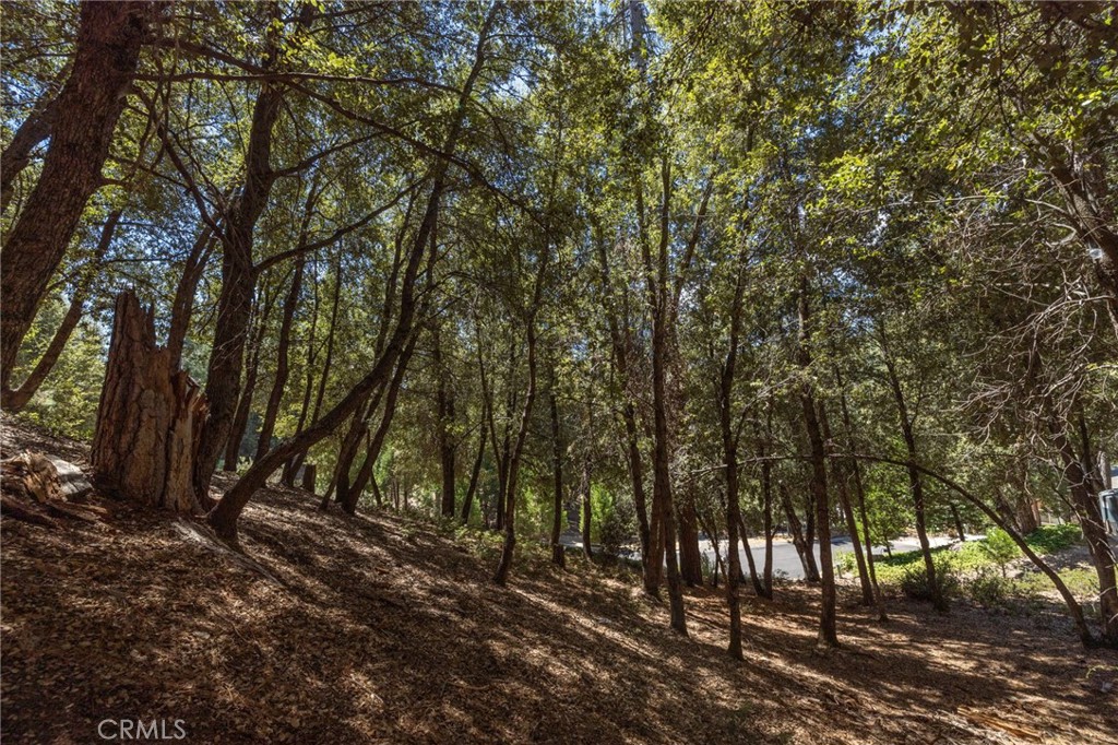 8 N Cedar Vista Circle N