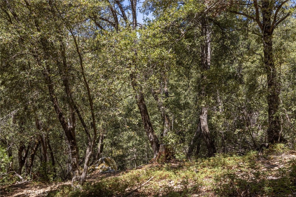 8 N Cedar Vista Circle N