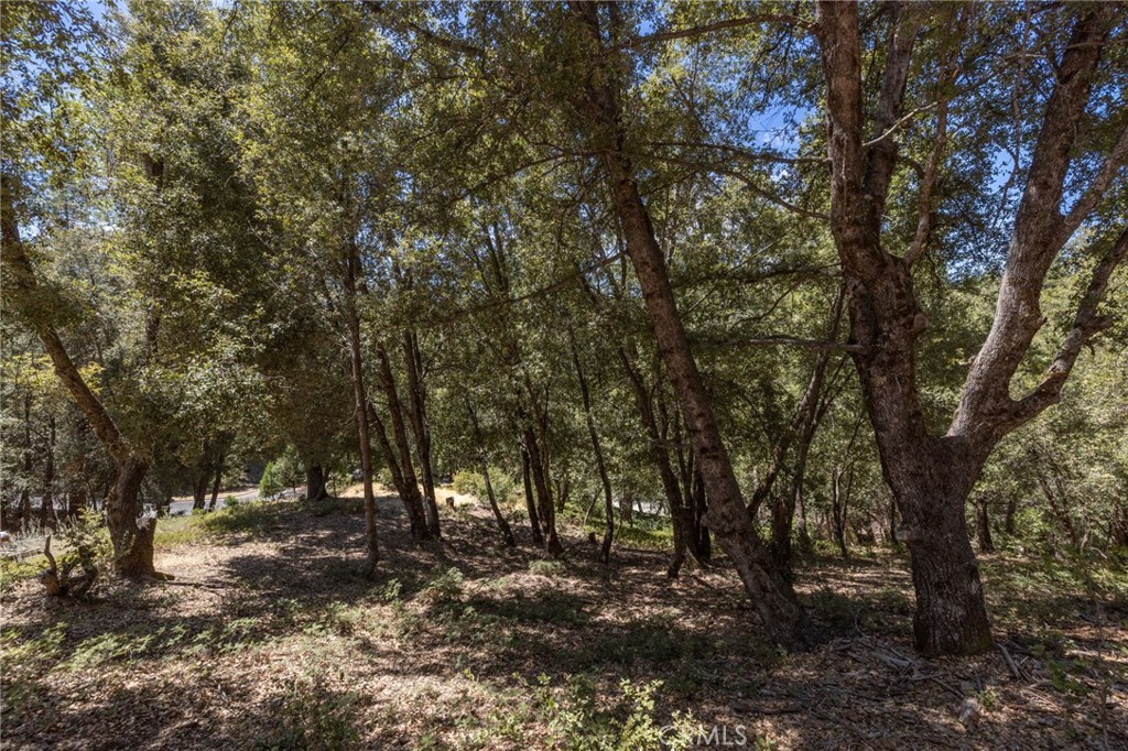 8 N Cedar Vista Circle N