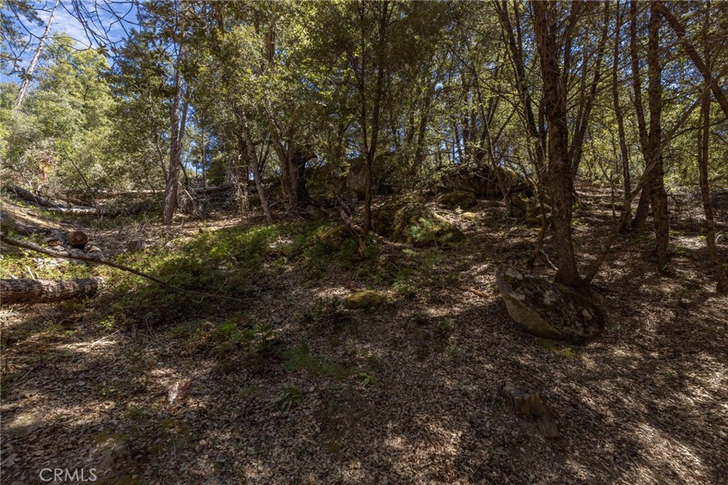 8 N Cedar Vista Circle N