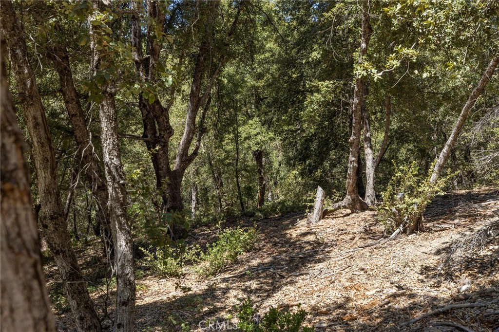 8 N Cedar Vista Circle N