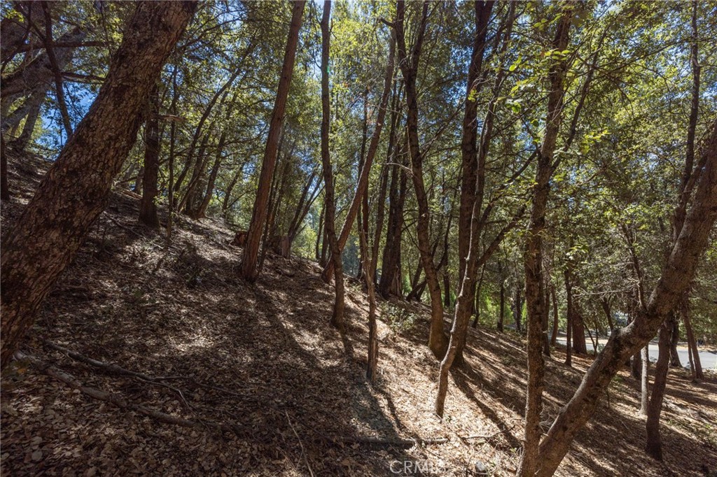 8 N Cedar Vista Circle N