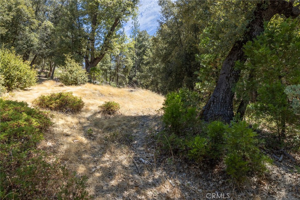 8 N Cedar Vista Circle N