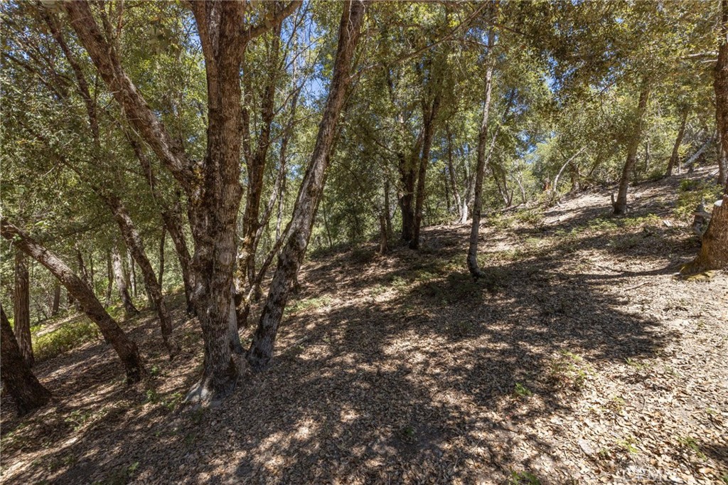 8 N Cedar Vista Circle N