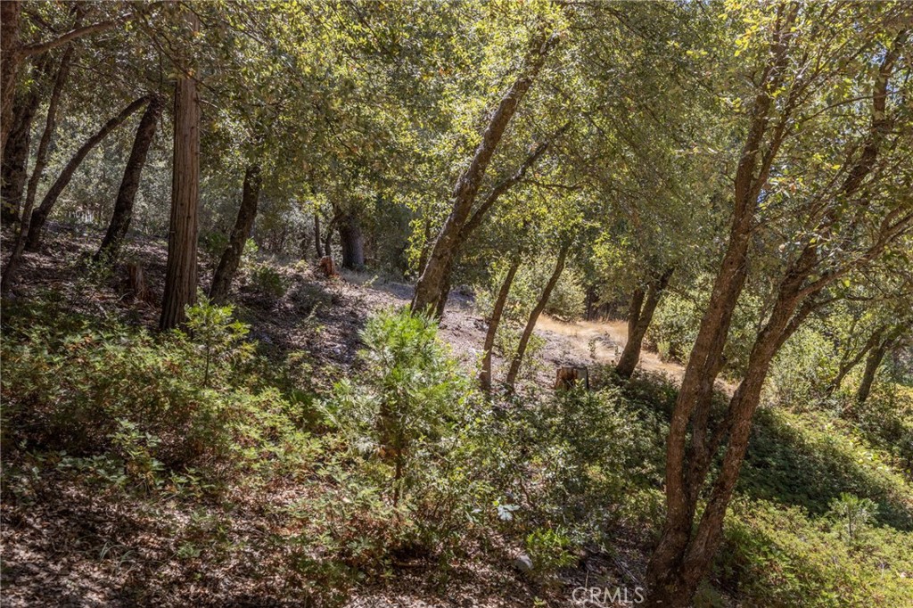 8 N Cedar Vista Circle N