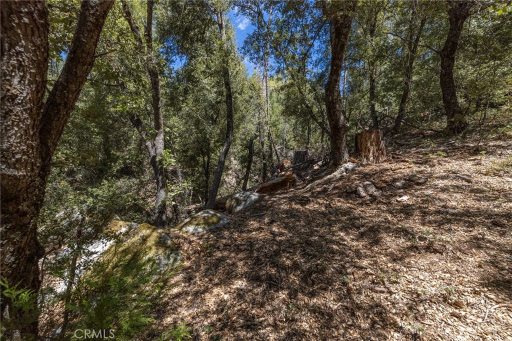 8 N Cedar Vista Circle N