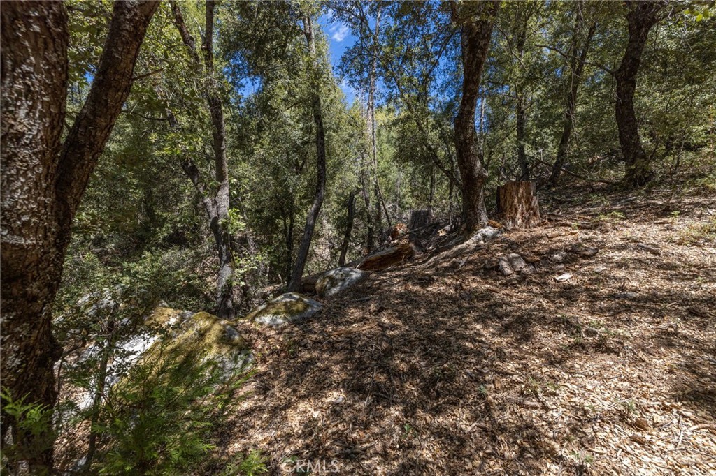 8 N Cedar Vista Circle N