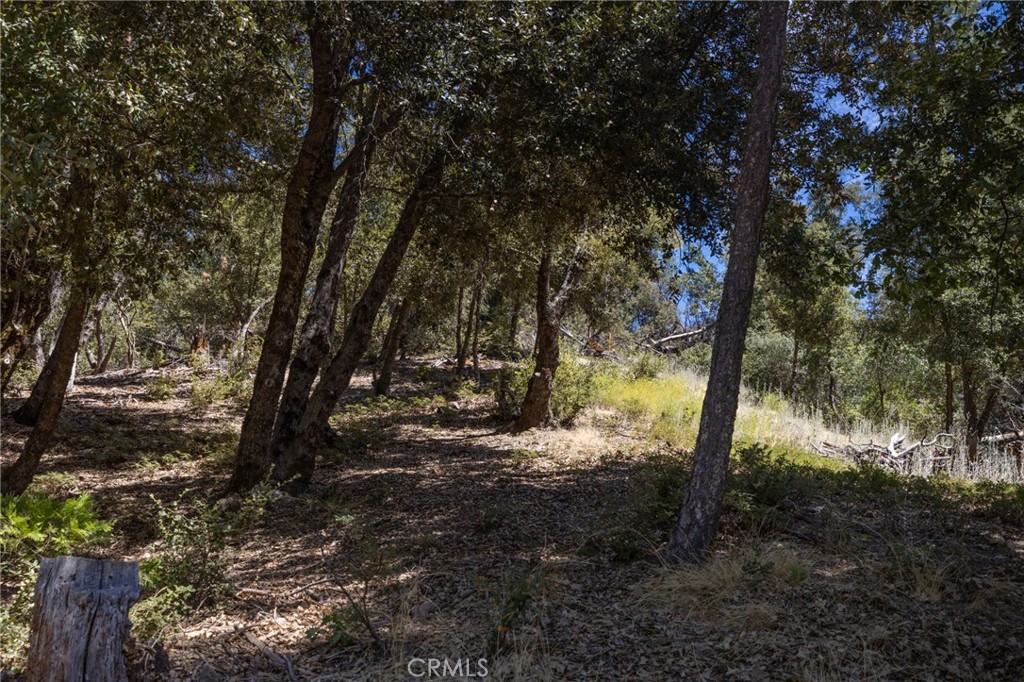 8 N Cedar Vista Circle N