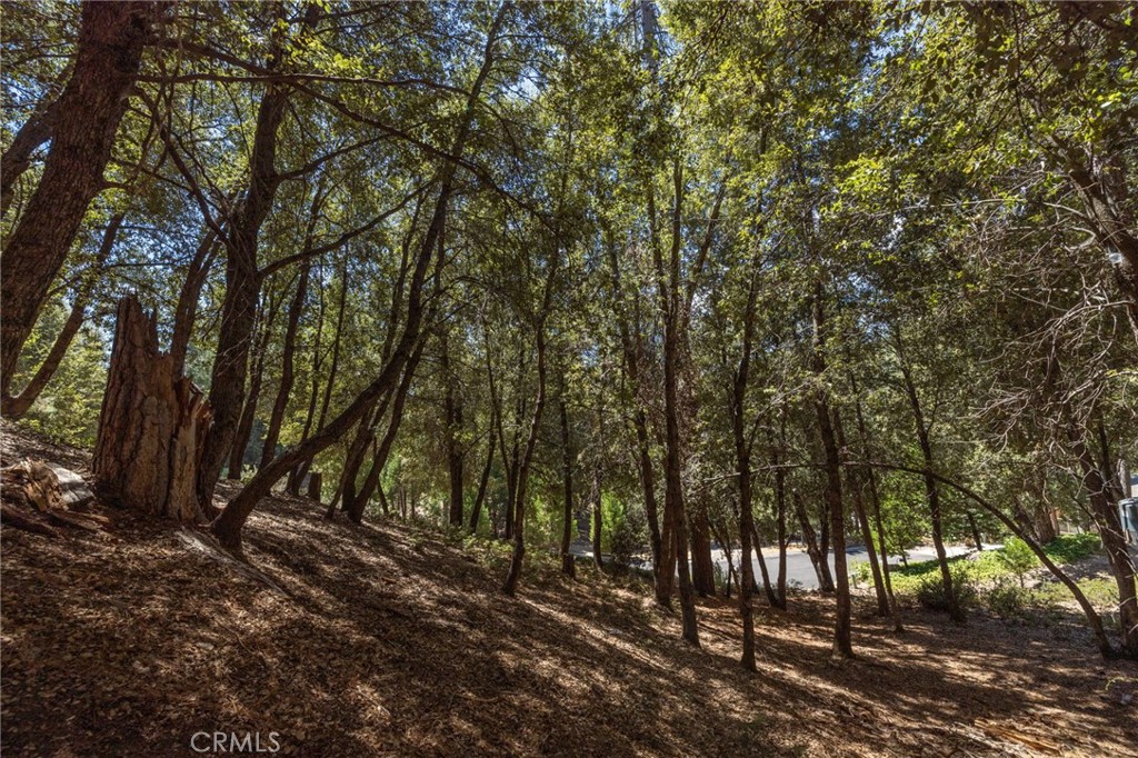 8 N Cedar Vista Circle N