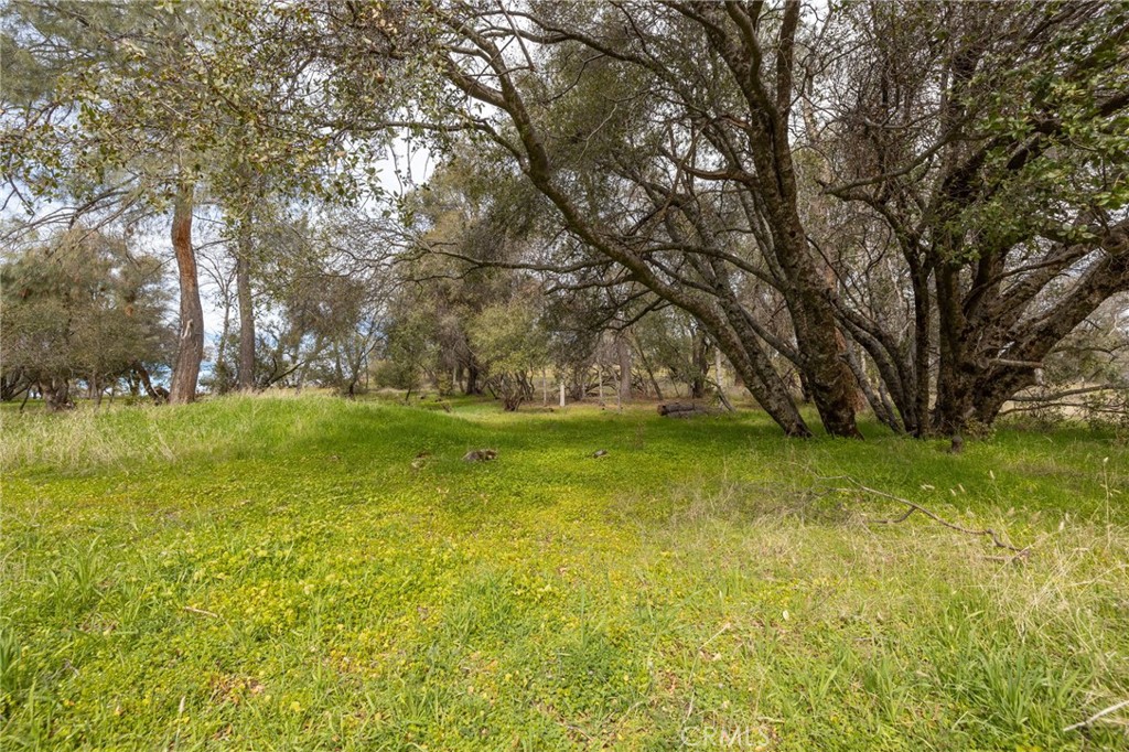 56563 Road 200