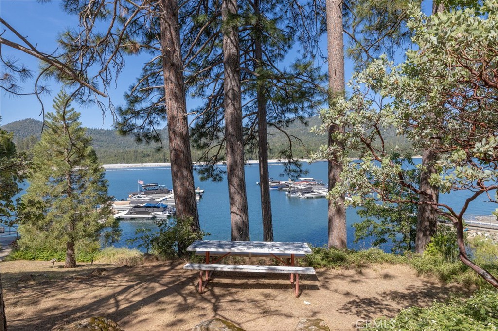 37731 Shoreline Drive