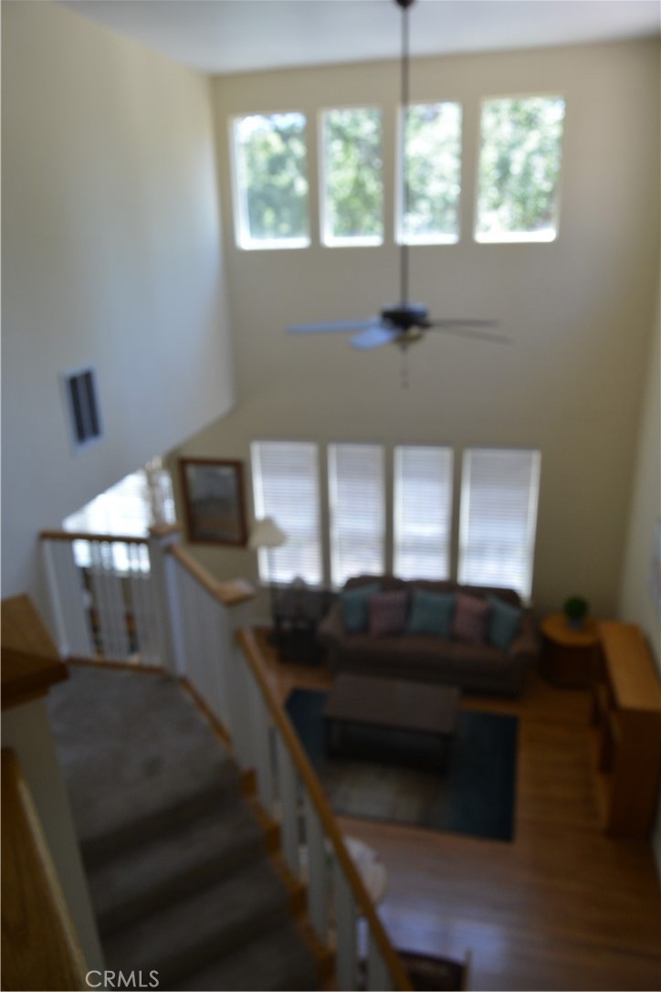 34811 34833 Wintergreen Loop