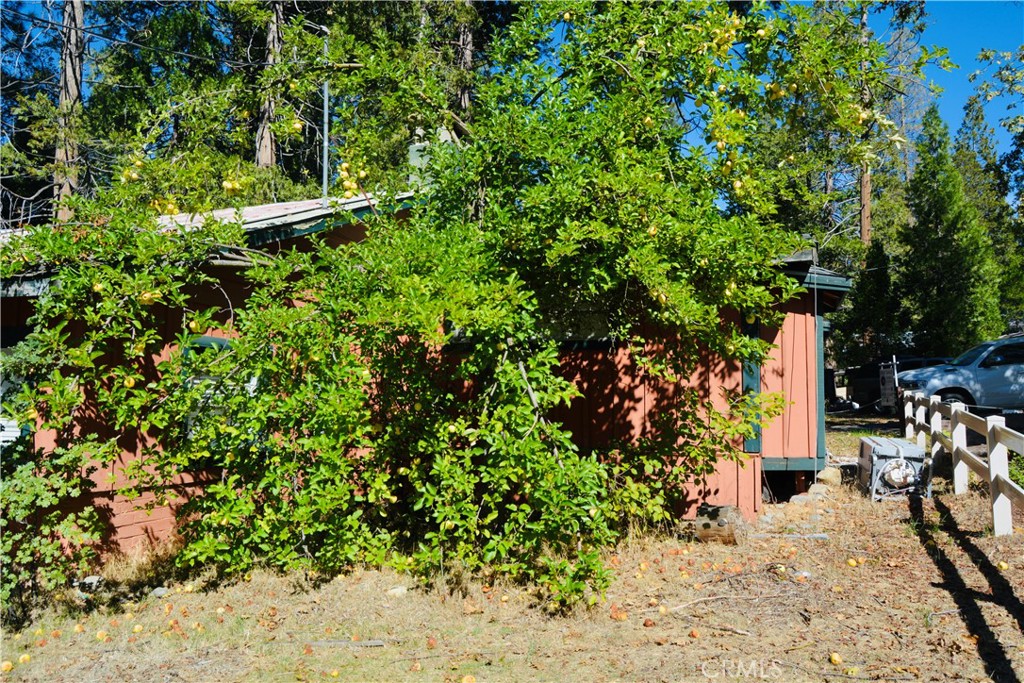 39656 Red Bud