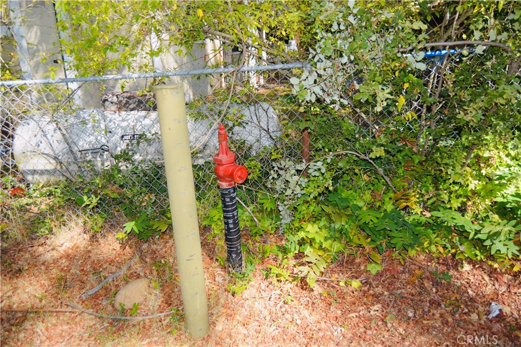 39656 Red Bud