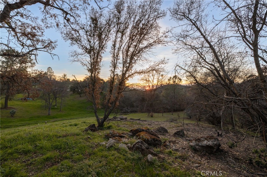 33940 Jennifer Way