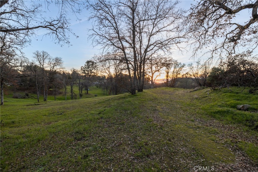 33940 Jennifer Way
