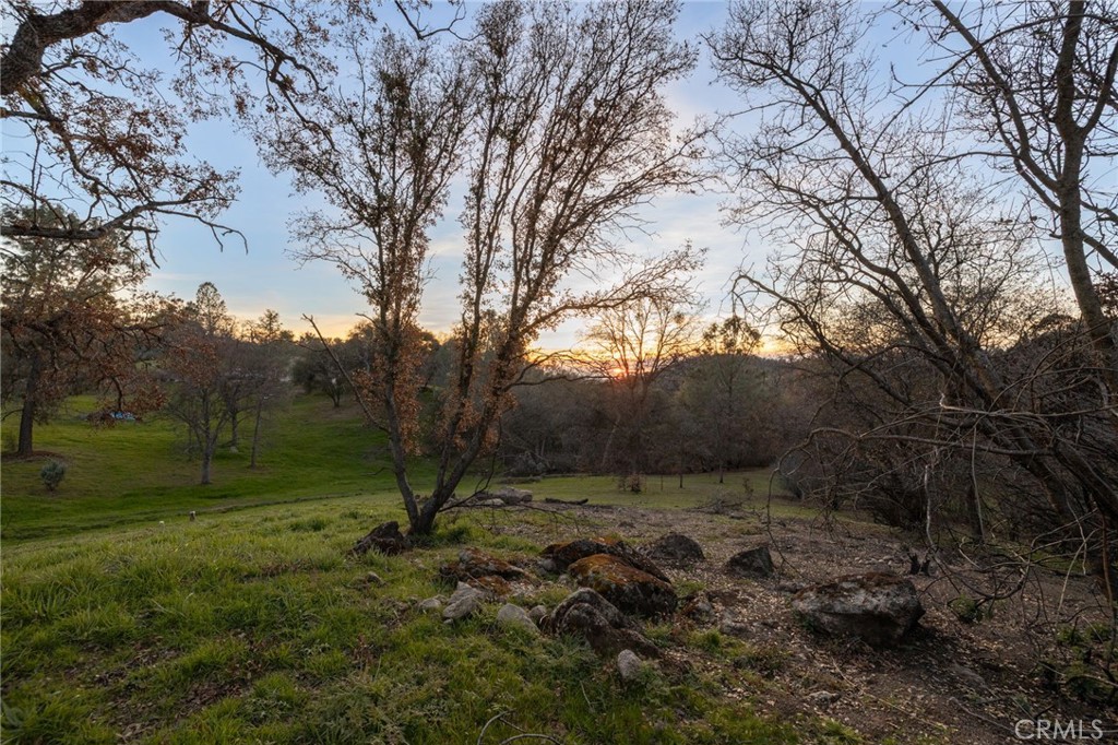 33940 Jennifer Way